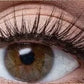 👀✨ Cils Auto-Adhésifs Réutilisables — Sans Colle, Application 3 Secondes, Regard Glamour Naturel