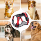 📢📢50 % DE RÉDUCTION !! ⏰Harnais anti-traction pour chien avec laisse et collier à LED