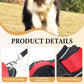 📢📢50 % DE RÉDUCTION !! ⏰Harnais anti-traction pour chien avec laisse et collier à LED