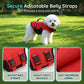 🔥 50% DE RÉDUCTION ! 🐶 Gilet de Sauvetage pour Chien – Mélange Premium – Haute Flottabilité & Ripstop for Sécurité Aquatique